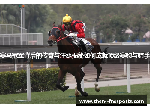 赛马冠军背后的传奇与汗水揭秘如何成就顶级赛驹与骑手 赛马冠军背后的传奇与汗水揭秘如何成就顶级赛驹与骑手