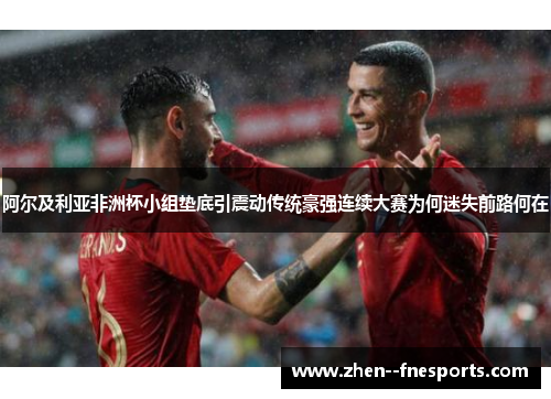 阿尔及利亚非洲杯小组垫底引震动传统豪强连续大赛为何迷失前路何在